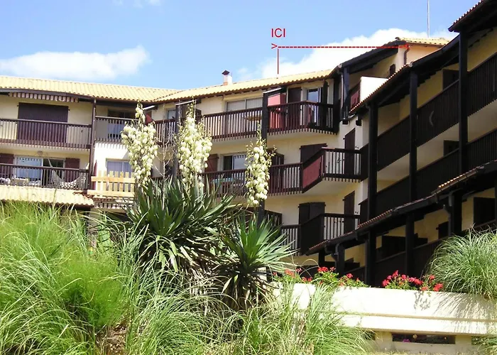 Estacade Et Ocean Apartment *