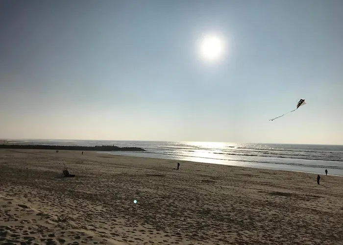 Estacade Et Ocean Vieux-Boucau-les-Bains