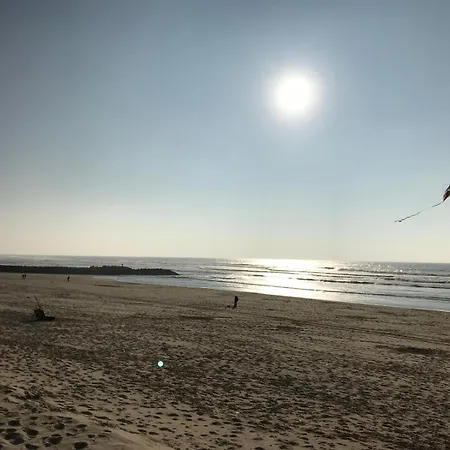 Estacade Et Ocean Vieux-Boucau-les-Bains