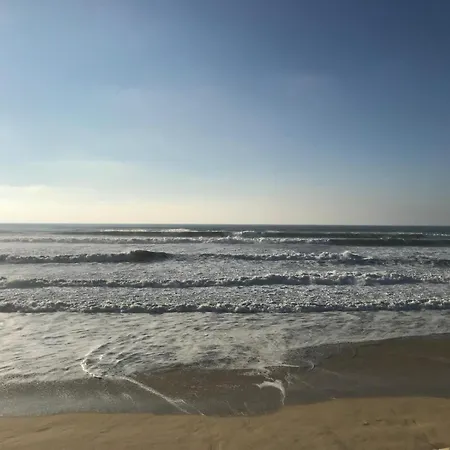 Estacade Et Ocean *